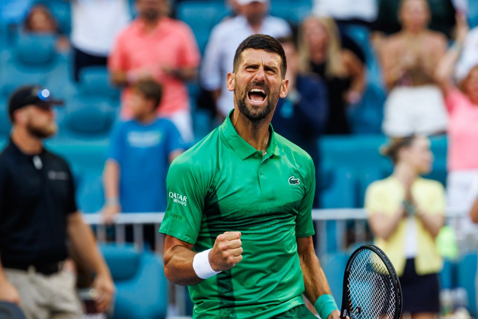 Djokovic let out a primal scream after his quarterfinal victory over Sebastian Korda